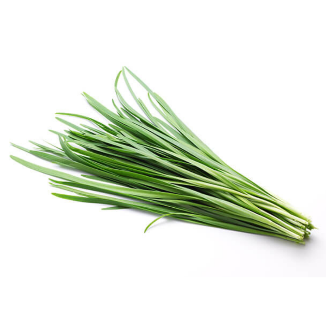 Chinese Chive (Nira) - ニラ