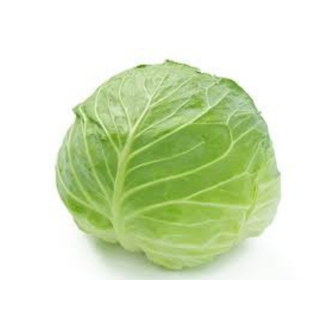 Cabbage - キャベツ　1pc