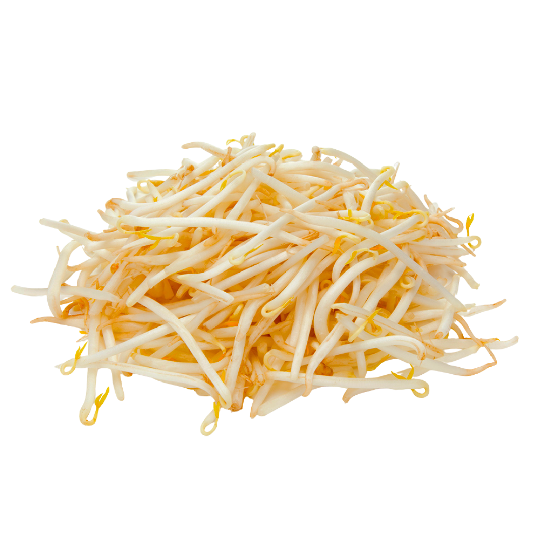 Bean Sprout - もやし