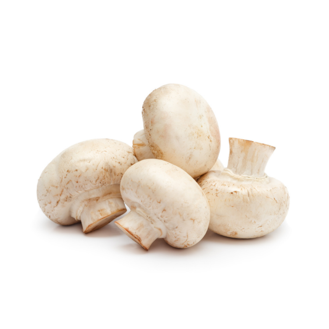 Mushroom - マッシュルーム 100g