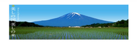秋田産 あきたこまち 無洗米 (神明) Rice - Akitakomachi Japanese Rice 5kg (Rinse-Free Rice)