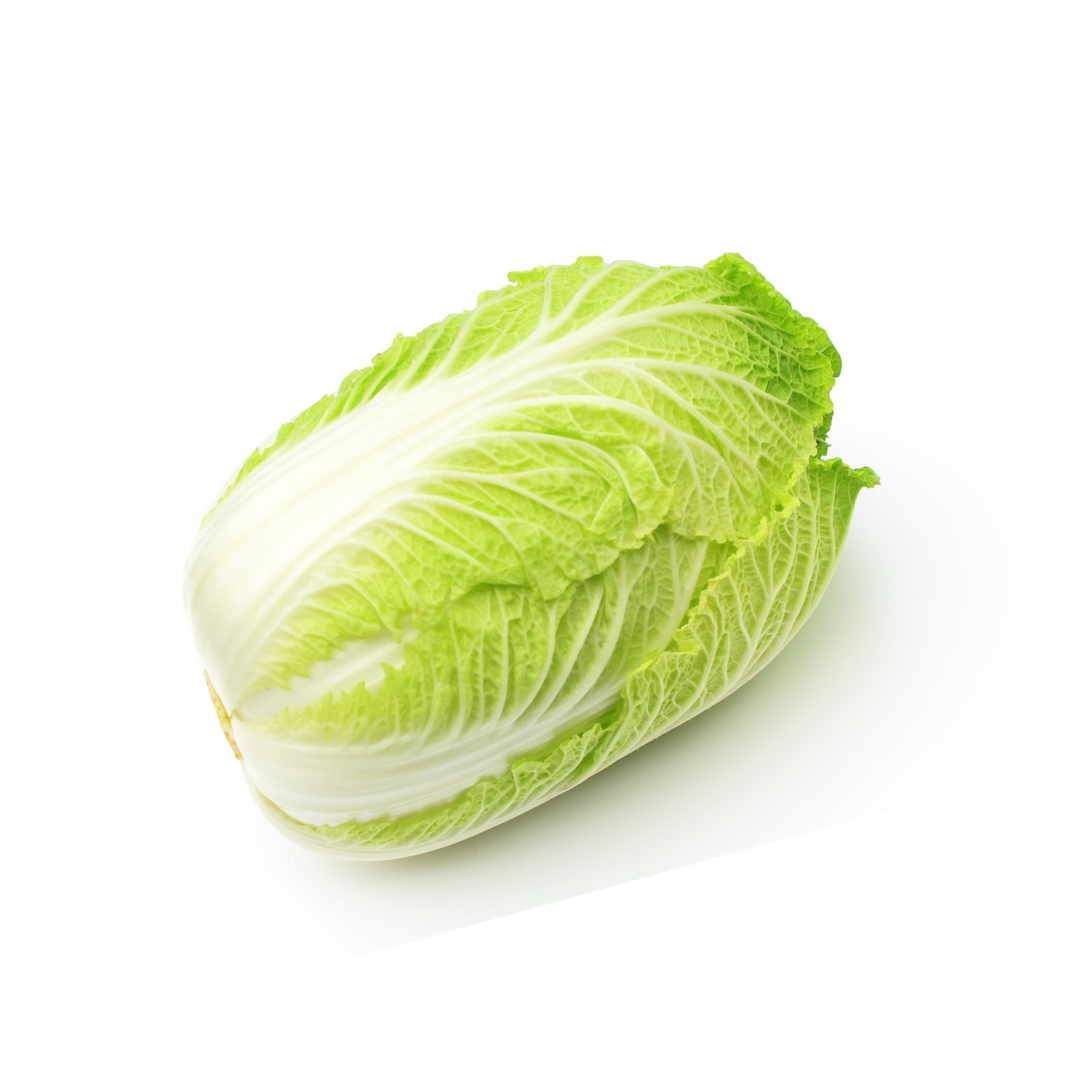 Chinese Cabbage - 白菜