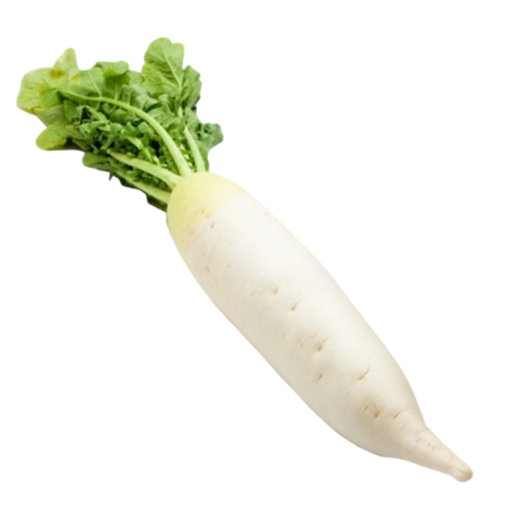 Radish White (Daikon) - 大根