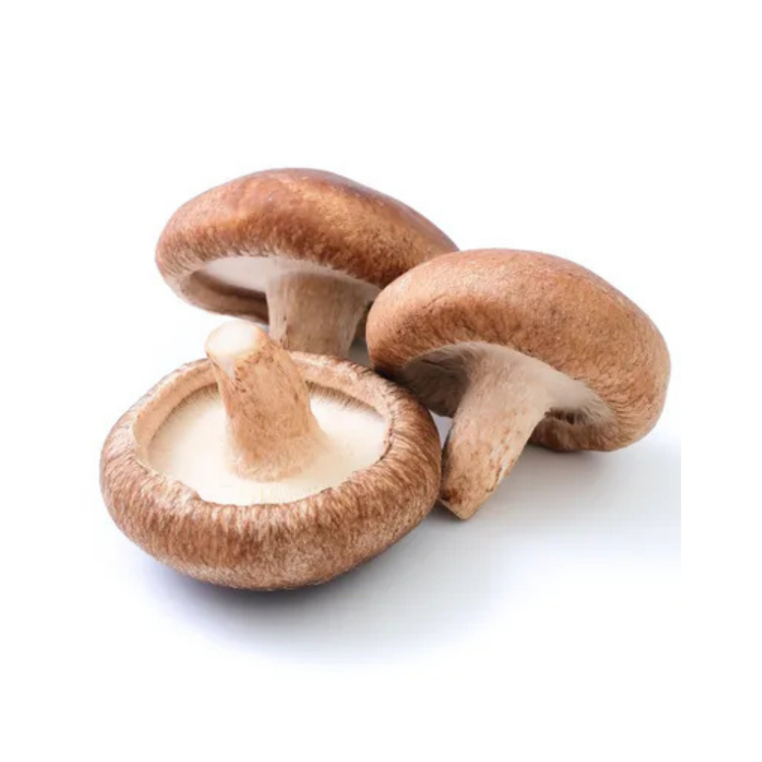 Shiitake Mushroom - しいたけ 100g