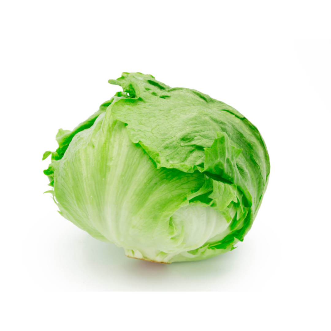 Iceberg lettuce - アイスバーグレタス