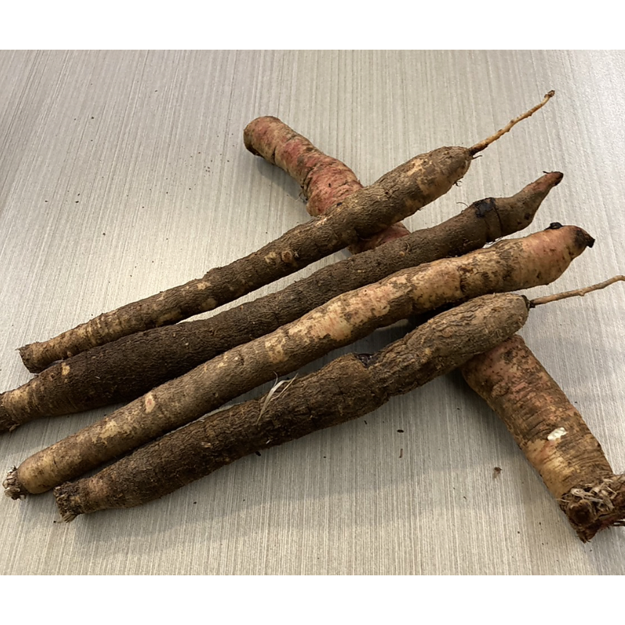 【Seasonal vegetable】Fresh Burdock 200g (around 5pcs) - 【季節の野菜】ごぼう(生) 200g (およそ5本）