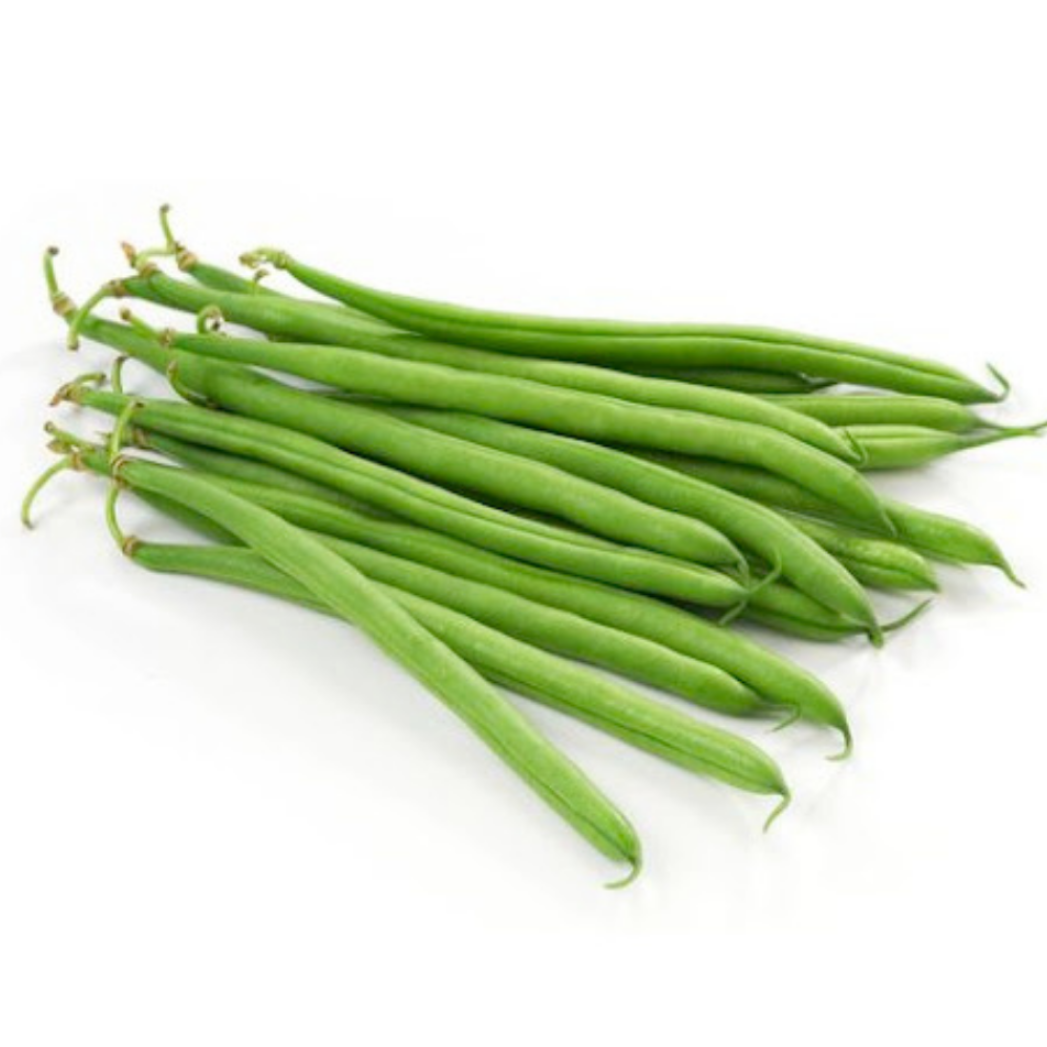 Green Beans (Ingen) - インゲン 500g