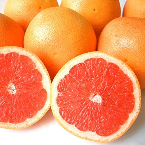 グレープフルーツ　ルビー　- Grapefruit Ruby Red 1kg