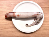 冷凍スルメイカ（調理用）1pc  -  Frozen Squid  1pc -