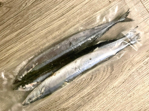 サンマ 3本入り（冷凍）- Sanma Fish for Grill 3p ( Frozen ) -