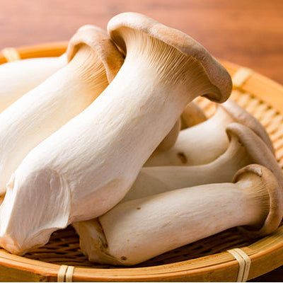 King Oyster Mushroom - エリンギ 400g