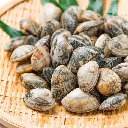 Asari Clams (With Shell) Frozen - あさり殻つき（冷凍） 500g