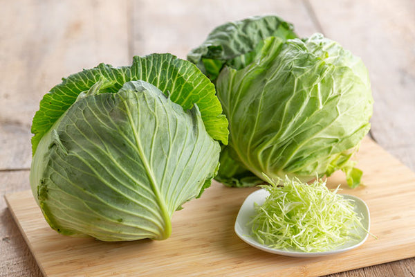 Cabbage - キャベツ　1pc