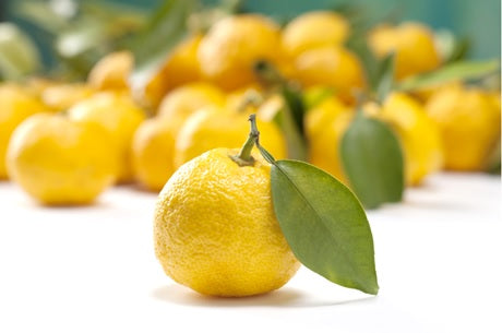 宮城県産 ゆず皮（冷凍） - Yuzu Citrus Skin ( Frozen ) made