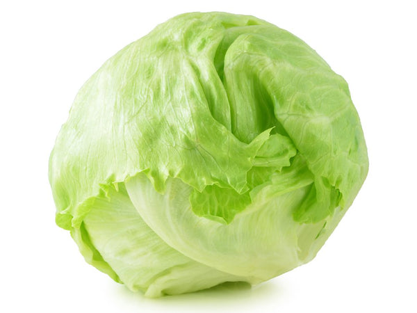 Iceberg lettuce - アイスバーグレタス